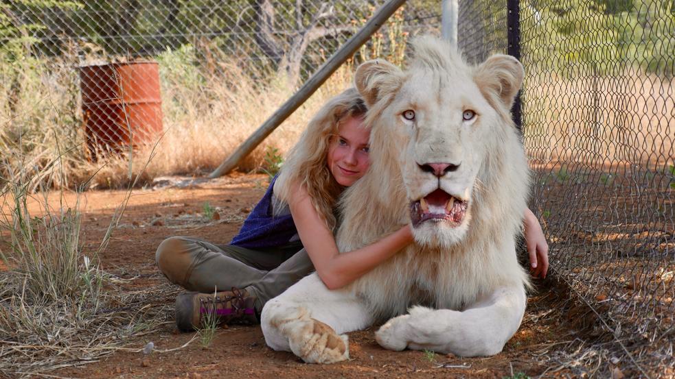 Film Mia und der weiße Löwe
